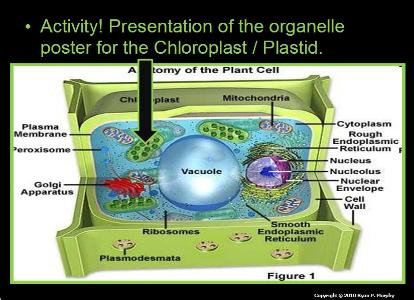 Biology, Life Topics Unit PowerPoint / Lessons for Educators