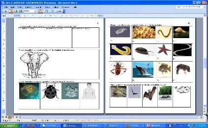 Taxonomy and Classification